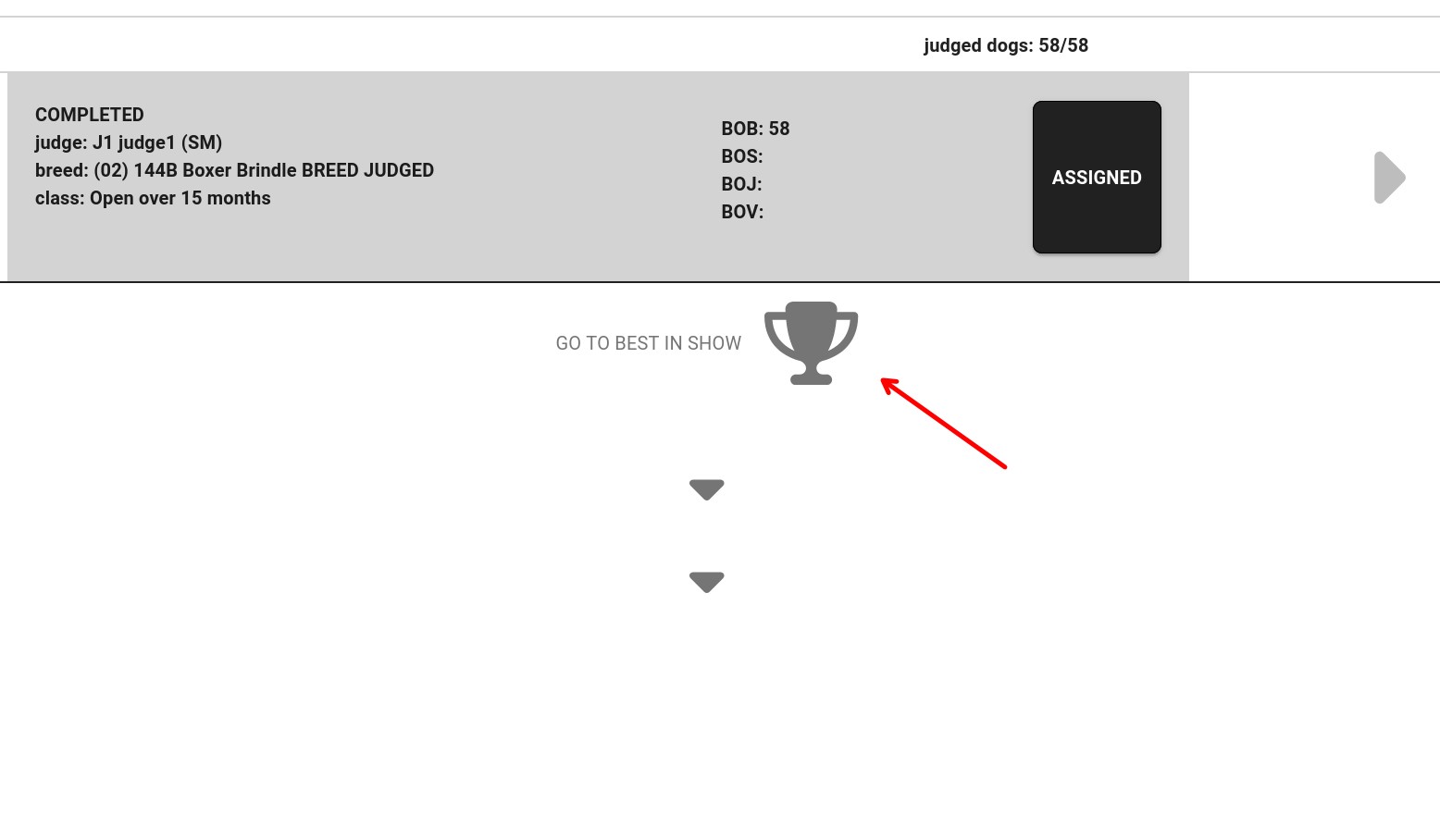 Giudicata ogni razza, la coppa apre le finali.
